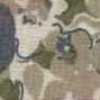 Light Gray Light Gray