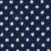 Polka Dot