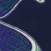 Navy Blue Navy Blue