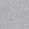 Silver Gray