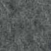 Light Gray Light Gray
