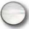 Shell White Shell White