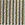 Pearl Gray Pearl Gray