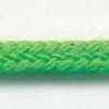 Neon Green Neon Green