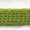 Fresh Green