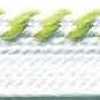 White×Olive×Green Tea White×Olive×Green Tea
