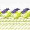 Cream X Acid Green X Purple Cream X Acid Green X Purple