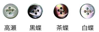 1504 Four-hole Shell Button
