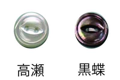 157 Two-hole Rimmed Button