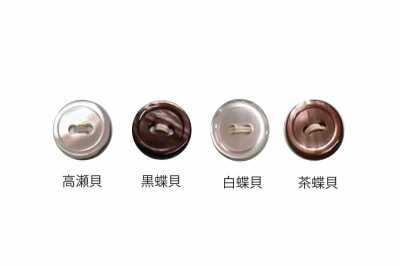 1702 17-size 2-hole Shell Button