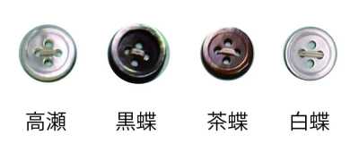 1704MAT 17 Mm 4-hole Shell Button MAT (Matte Finish)