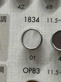 1834 Elegant And Luxurious Buttons For Simple Shirts And Jackets DAIYA BUTTON Sub Photo