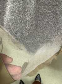 2020A Polyester Soft Organza[Textile / Fabric] Suncorona Oda Sub Photo