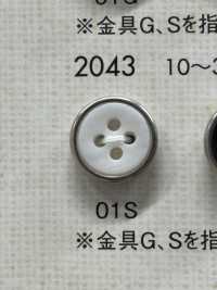 2043 Luxury Shirt / Jacket Silver Button DAIYA BUTTON(DAIYA BUTTON) Sub Photo