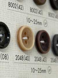 2048 Polyester Resin Bordered 4-hole Button Sub Photo