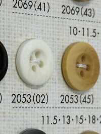 2053 Polyester Resin 4-hole Button With Border Sub Photo