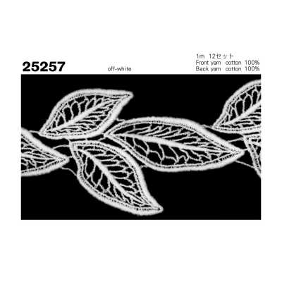 25257 Chemical Lace