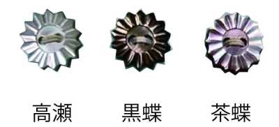 267 Two-hole Shell Button