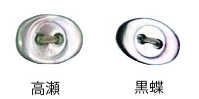 3400 Oval Two-Hole Shell Button