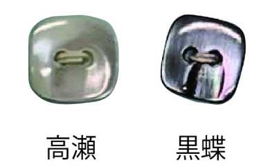 493 Two-hole Rimless Shell Button