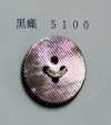 5100 4-hole Borderless Shell Button