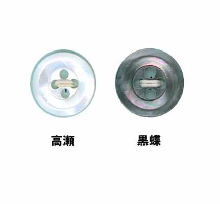 7 Size 7 4-hole Shell Button