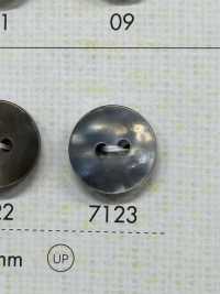 7123 Polyester Resin 2-hole Button Sub Photo