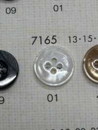 7165 DAIYA BUTTONS Shell-like Polyester Button DAIYA BUTTON Sub Photo