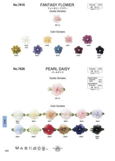 7626 Pearl Daisy