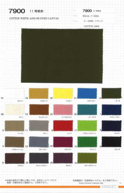 7900 No. 11 Canvas