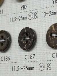 C187 Natural Wood 4-hole Button DAIYA BUTTON(DAIYA BUTTON) Sub Photo