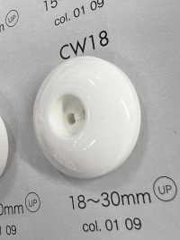 CW18 Polyester Resin 2-hole Button DAIYA BUTTON Sub Photo