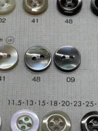 ES104 DAIYA BUTTONS Shell-like Polyester Button DAIYA BUTTON(DAIYA BUTTON) Sub Photo