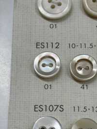 ES112 DAIYA BUTTONS 2 Holes Gold Shell Polyester Button DAIYA BUTTON(DAIYA BUTTON) Sub Photo