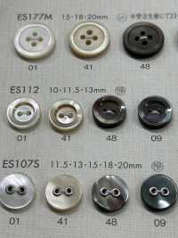 ES112 DAIYA BUTTONS 2 Holes Gold Shell Polyester Button DAIYA BUTTON(DAIYA BUTTON) Sub Photo