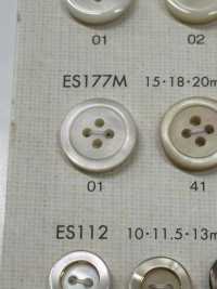 ES177M Shell BUTTONS Matte Shell-like Polyester Button DAIYA BUTTON(DAIYA BUTTON) Sub Photo
