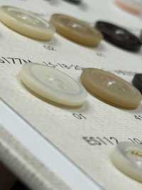 ES177M Shell BUTTONS Matte Shell-like Polyester Button DAIYA BUTTON(DAIYA BUTTON) Sub Photo