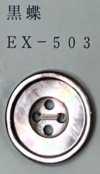 EX503 4-hole, Bordered, Shell Button