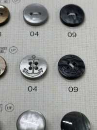 FM303 DAIYA BUTTONS Shell Polyester Buttons DAIYA BUTTON(DAIYA BUTTON) Sub Photo