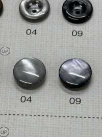 FM304 DAIYA BUTTONS Shell-like Polyester Button DAIYA BUTTON(DAIYA BUTTON) Sub Photo