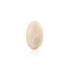 KR798 Acrylic Resin/nylon Resin Tunnel Shank Button