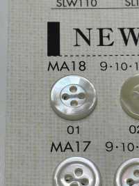 MA18 DAIYA BUTTONS Shell-like Polyester Button DAIYA BUTTON(DAIYA BUTTON) Sub Photo