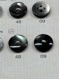 NRS110 DAIYA BUTTONS Shell-like Polyester Button DAIYA BUTTON Sub Photo