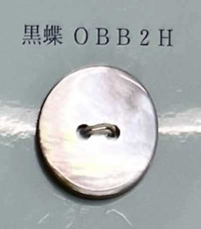 OBB2H Two-hole Rimless Black Mother-of-pearl Shell Button