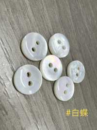 PH105 2-hole Round Shell Button Sakamoto Saji Shoten Sub Photo