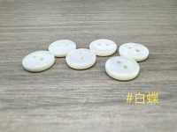 PH105 2-hole Round Shell Button Sakamoto Saji Shoten Sub Photo