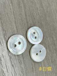 PH171 2-hole Flat Bordered Shell Button Sakamoto Saji Shoten Sub Photo