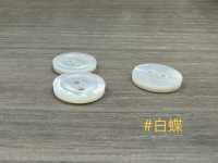 PH171 2-hole Flat Bordered Shell Button Sakamoto Saji Shoten Sub Photo