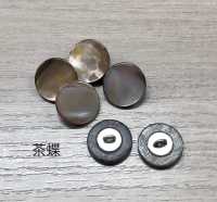 PH271 Shell Button With Metal Feet Sakamoto Saji Shoten Sub Photo