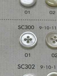 SC300 DAIYA BUTTONS Shell-like Polyester Button DAIYA BUTTON(DAIYA BUTTON) Sub Photo